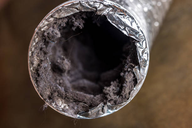Best Air Vent Cleaning Services  in Archer Lodge, NC